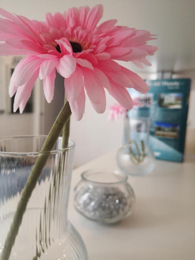 Apartamento Rosa Puerta Del Sol Διαμέρισμα Μαδρίτη Εξωτερικό φωτογραφία